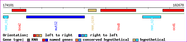 gene map