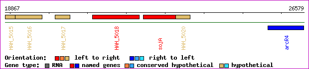 gene map