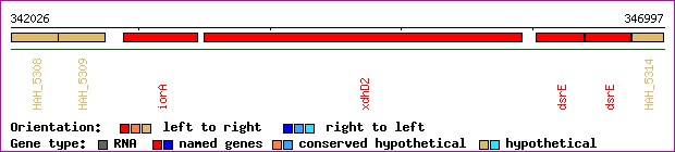 gene map