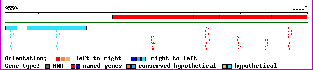 gene map