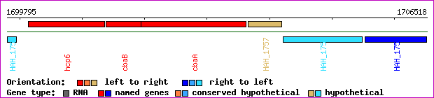 gene map