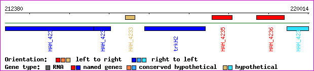 gene map