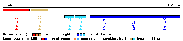 gene map