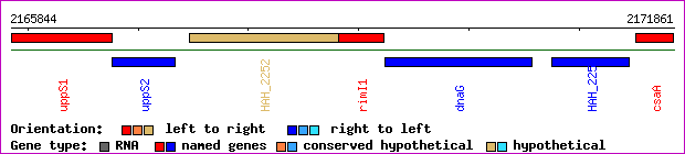 gene map