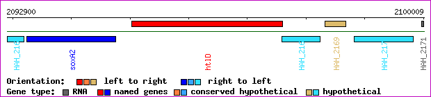 gene map