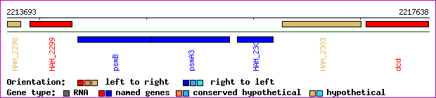 gene map