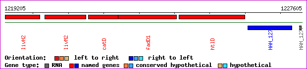 gene map