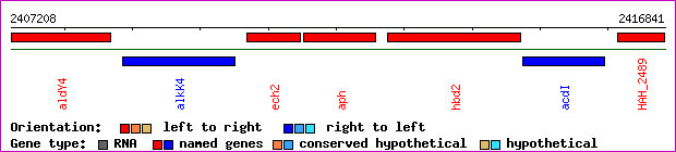 gene map