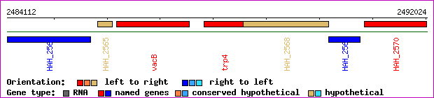 gene map