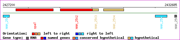 gene map