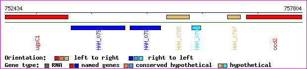 gene map