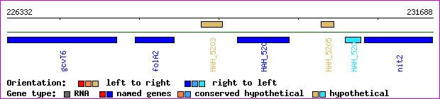 gene map