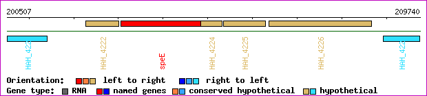 gene map