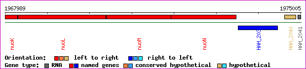 gene map