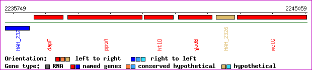 gene map