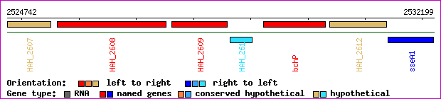 gene map