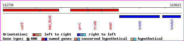 gene map