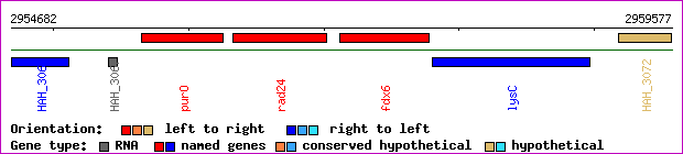 gene map