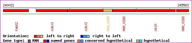 gene map