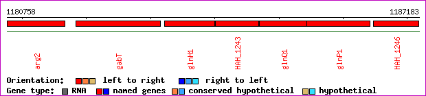 gene map
