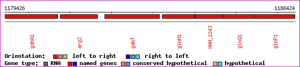gene map
