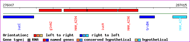 gene map