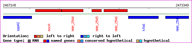 gene map