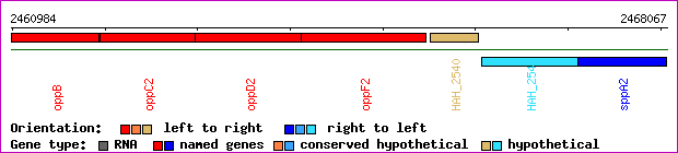 gene map