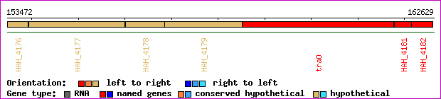 gene map