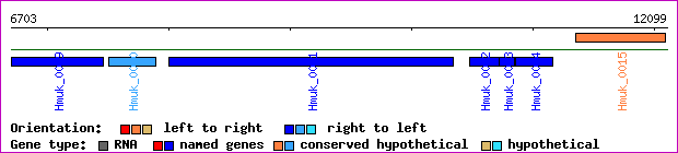 gene map