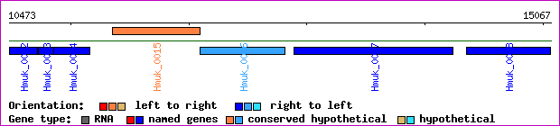 gene map
