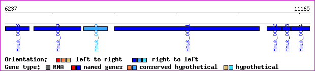 gene map