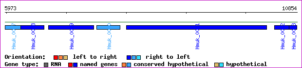 gene map