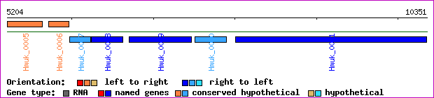 gene map