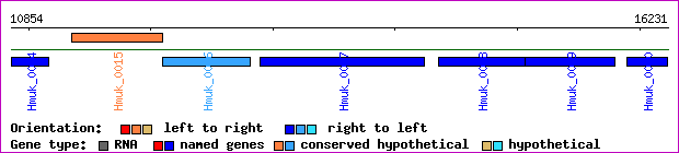 gene map