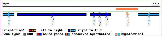 gene map