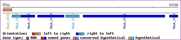 gene map