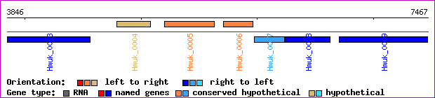 gene map