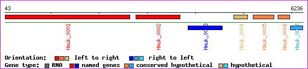 gene map