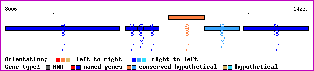 gene map