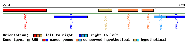 gene map