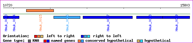 gene map
