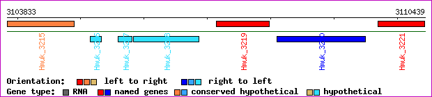 gene map