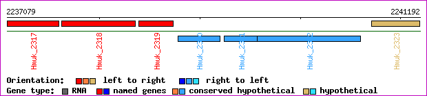 gene map