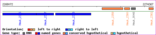 gene map