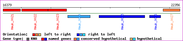 gene map