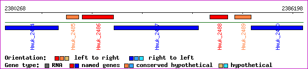 gene map
