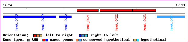 gene map
