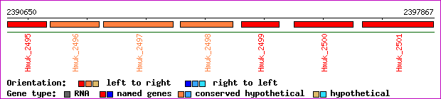 gene map
