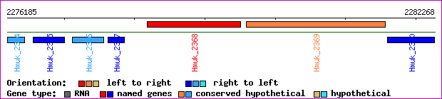 gene map